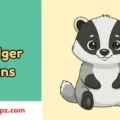 Badger Puns
