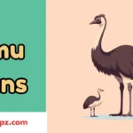 Emu Puns