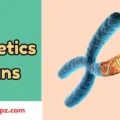Genetics Puns