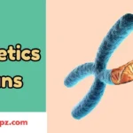 Genetics Puns