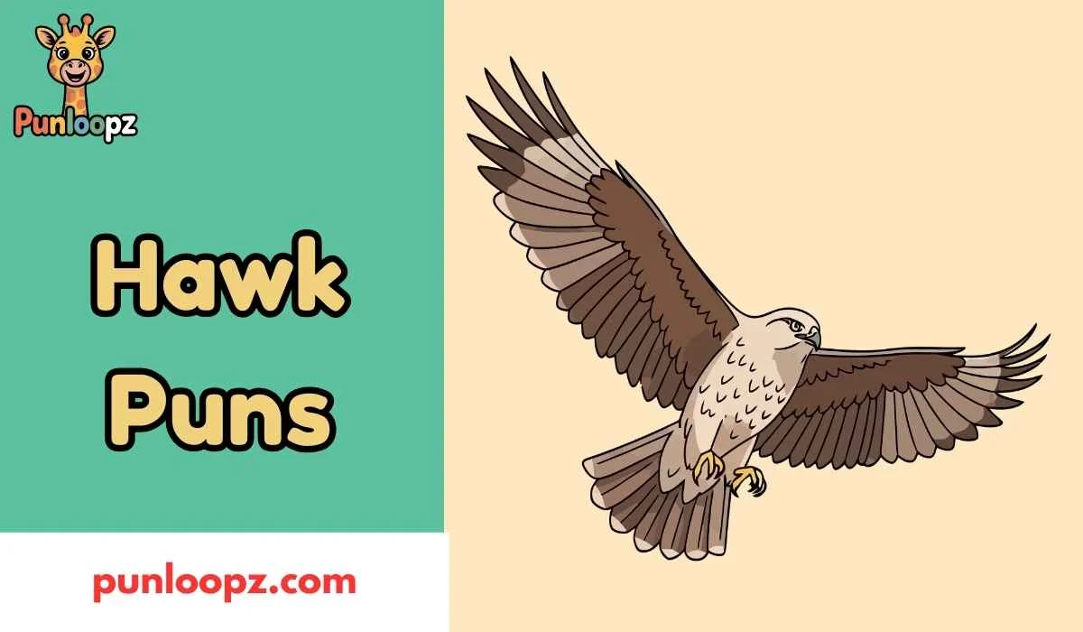 Hawk Puns
