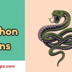 Python Puns