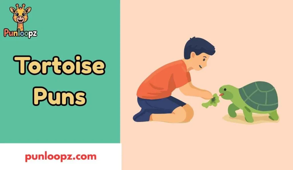 Tortoise Puns