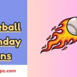 Baseball Birthday Puns