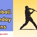 Baseball Birthday Puns