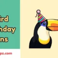 Bird Birthday Puns