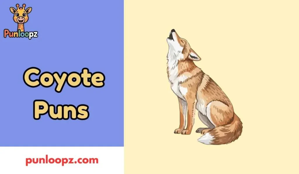 Coyote Puns