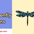 Dragonfly Puns