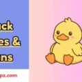 Duck Jokes & Puns