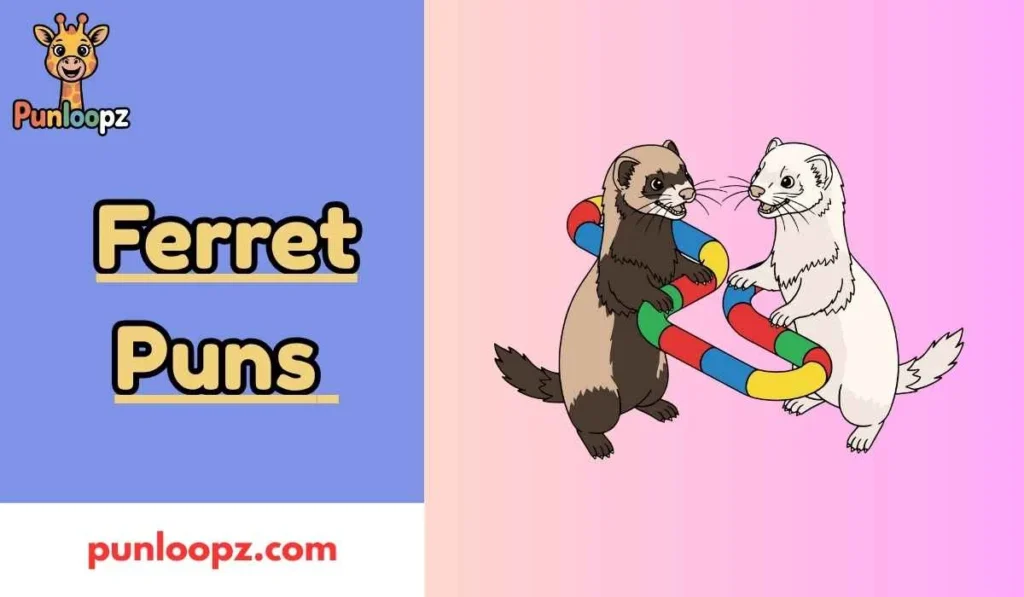 367+ Ferret Puns Hilarious Jokes You Can’t Miss! 2026