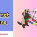 367+ Ferret Puns Hilarious Jokes You Can’t Miss! 2026