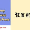 Funny Chinese Names Puns