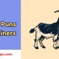 Goat Puns One Liners