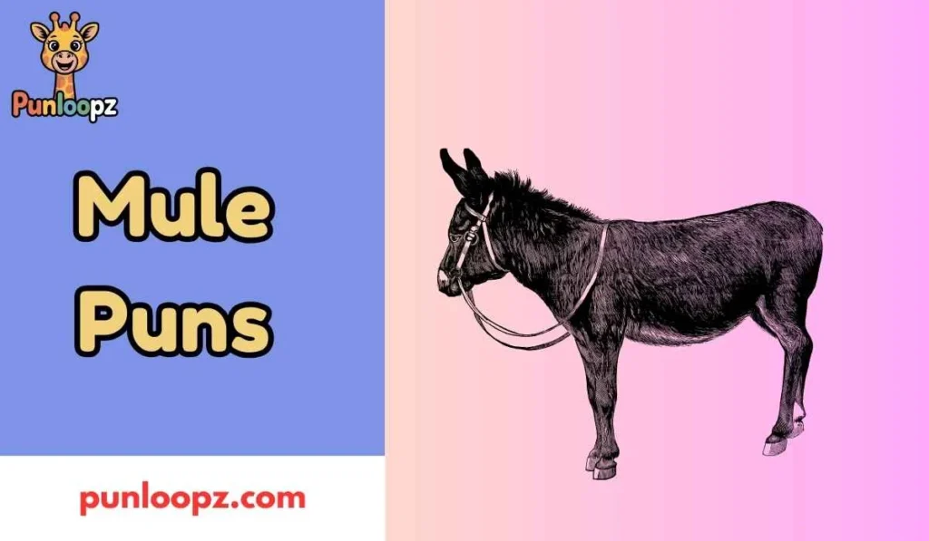 Mule Puns