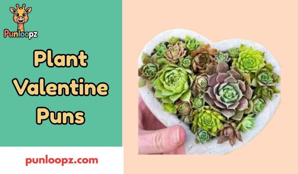 Plant Valentine Puns