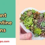 Plant Valentine Puns
