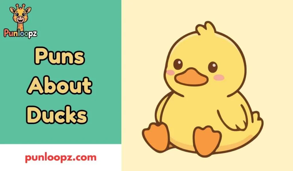 Puns About Ducks
