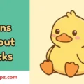 Puns About Ducks