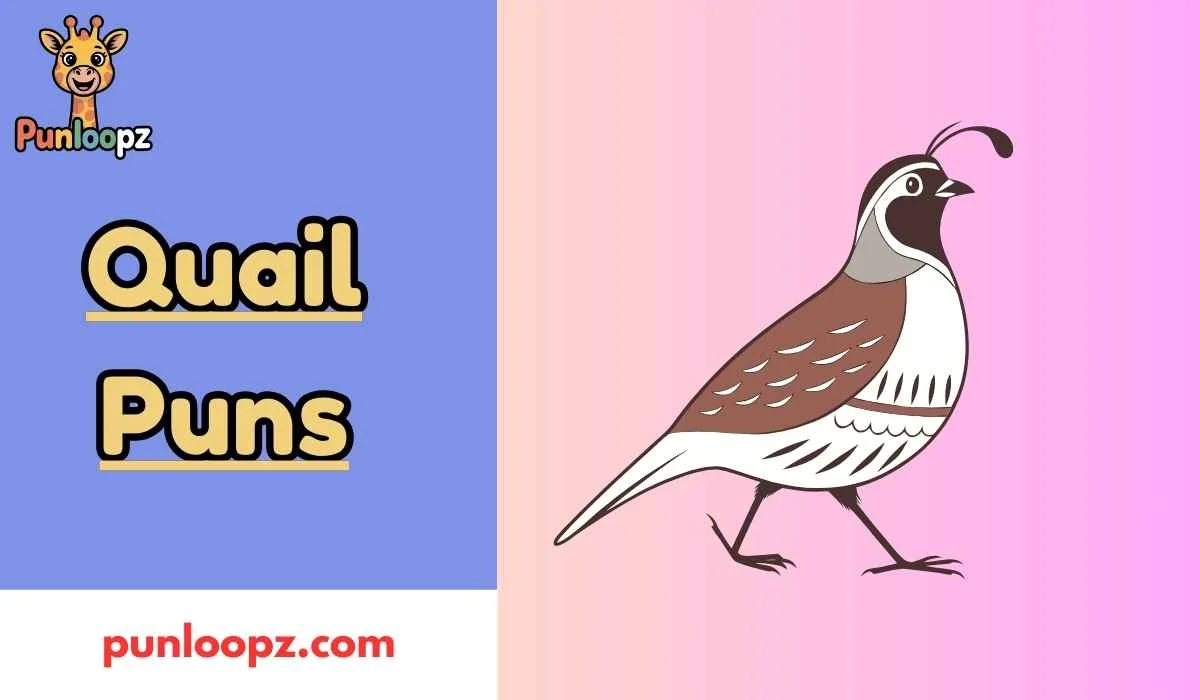 Quail Puns