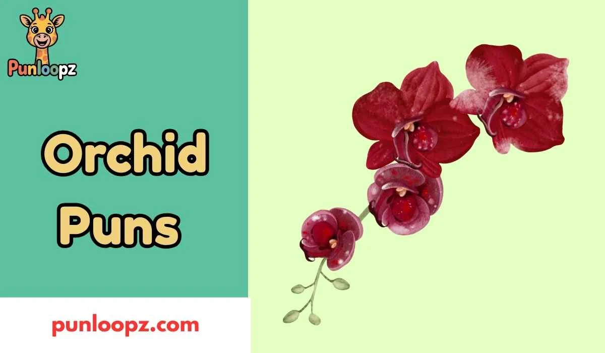 Orchid Puns