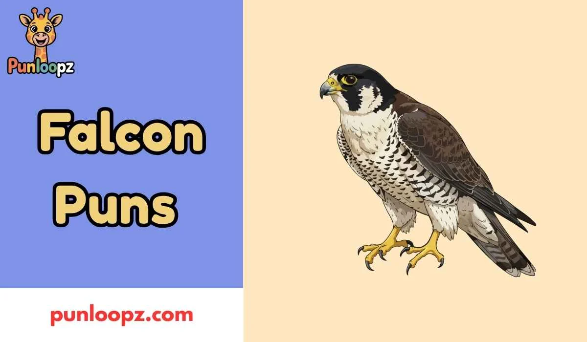 Falcon Puns