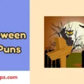 Halloween Cat Puns