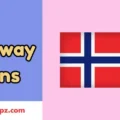 Norway Puns