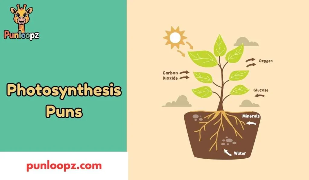 Photosynthesis Puns