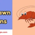 Prawn Puns