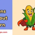 Puns About Corn