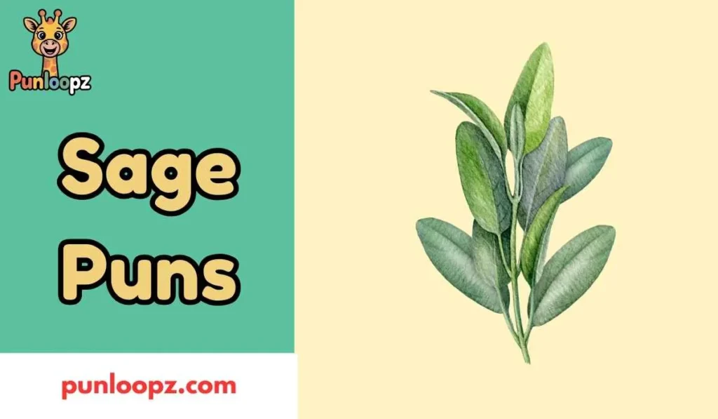 Sage Puns