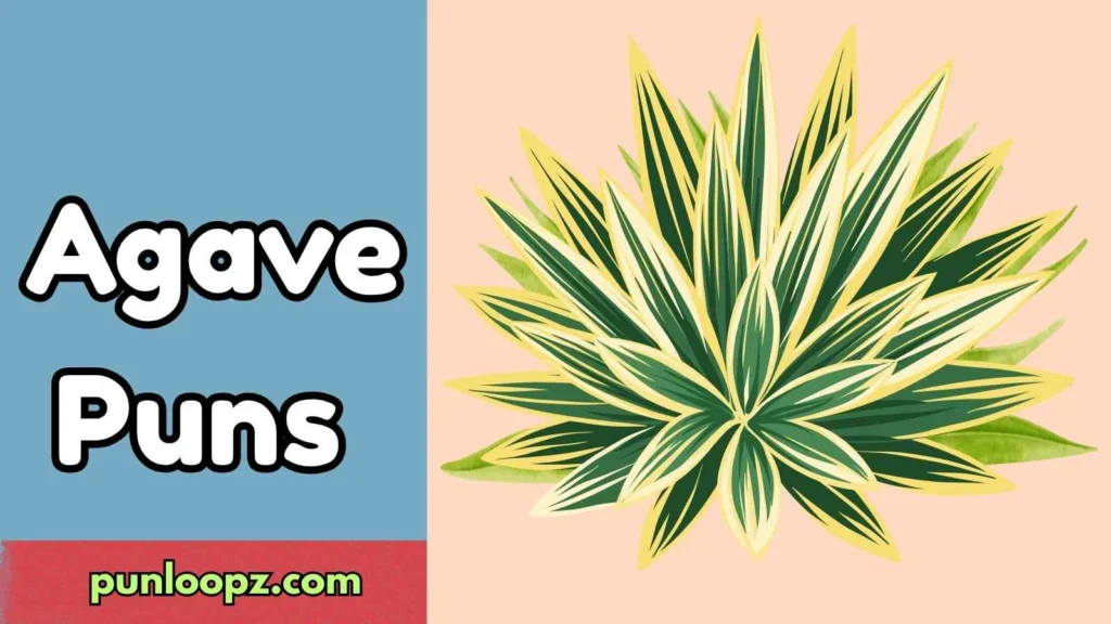 Agave Puns