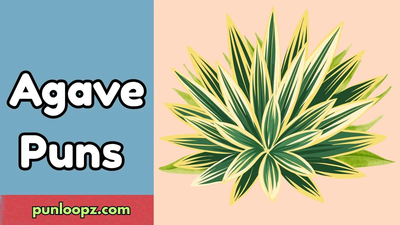 Agave Puns