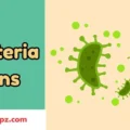 Bacteria Puns