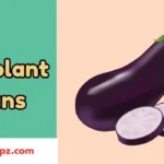 Eggplant Puns