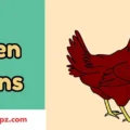Hen Puns