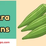 Okra Puns