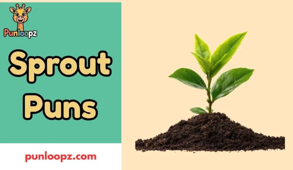 Sprout Puns