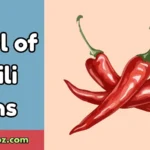Bowl of Chili Puns