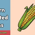 Corn Related Puns