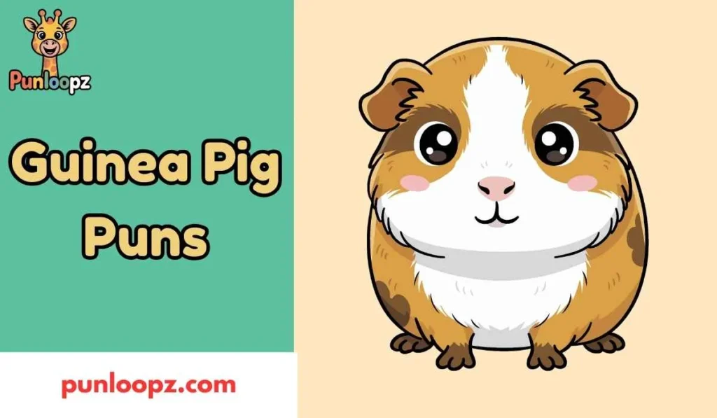 Guinea Pig Puns