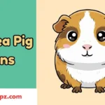 Guinea Pig Puns
