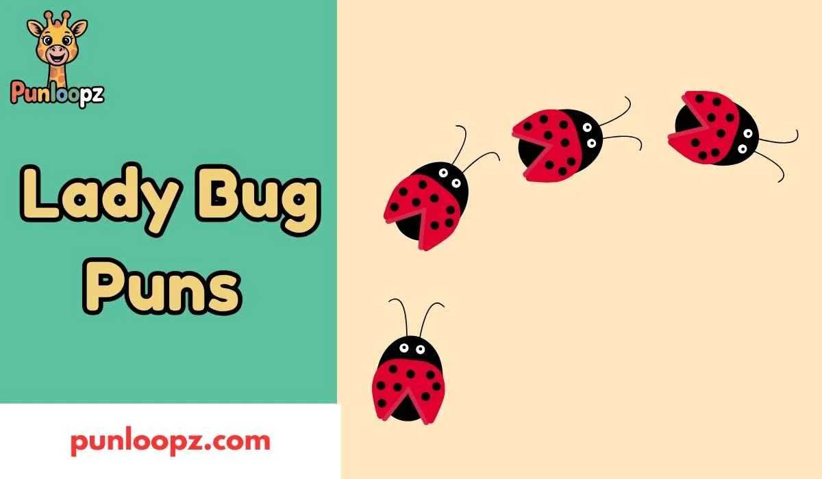 Lady Bug Puns