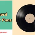 Record Player Puns