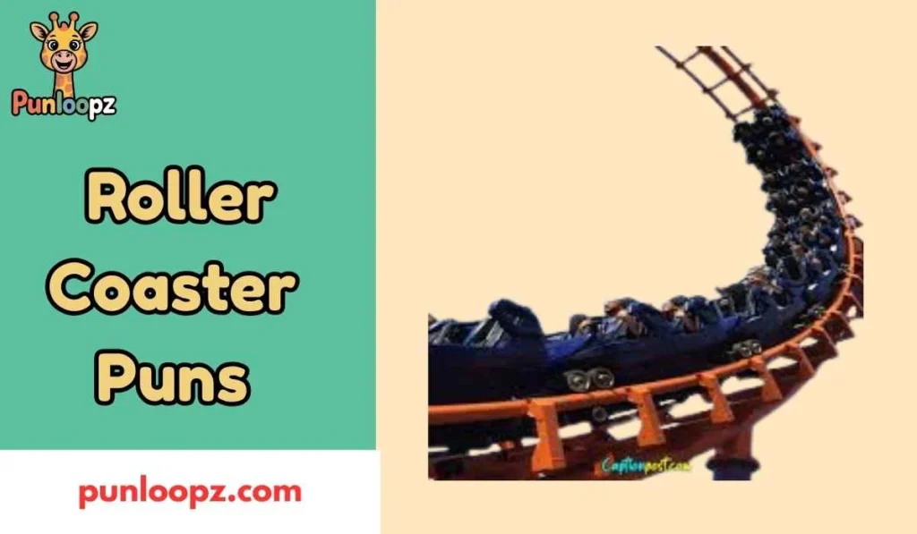 Roller Coaster Puns