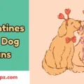 Valentines Day Dog Puns